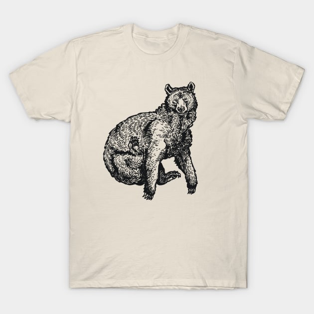 A Levity of Animals: Bear Necessities T-Shirt by calebfaires